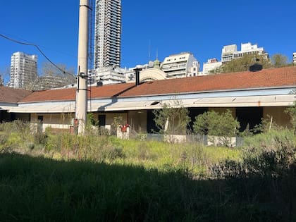 Los jardines convertidos en matorrales