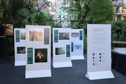 Los jardines de la Residencia. "En honor al compromiso del rey Carlos III con el cuidado del medio ambiente, la Embajada decidió 'teñir de verde' la fiesta, por lo cual gran parte de la decoración e identidad visual asumió ese color. Los asistentes tuvieron la posibilidad de presenciar una exhibición con las fotos ganadoras del concurso Wildlife Photographer of the Year que organiza el Museo de Historia Natural de Londres"