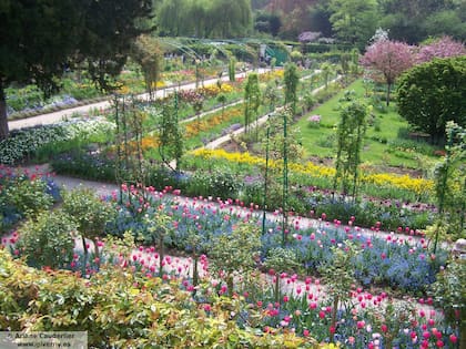 El colorido y la geometría de los jardines con diferentes variedades de plantas y árboles