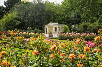Los jardines del palacio de Buckinham, un oasis verde en el centro de Londres
