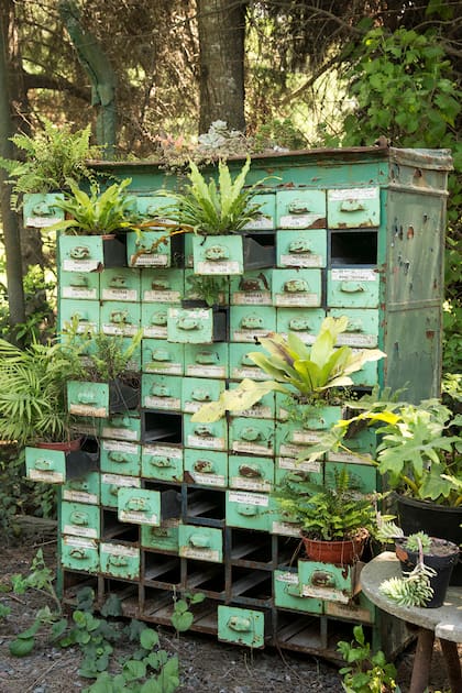Los jardines más auténticos no siempre tienen las macetas más caras, ni las pérgolas más elegantes