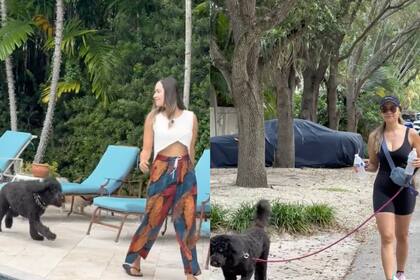 Los jóvenes cuidaron mascotas mientras sus dueños viajaban