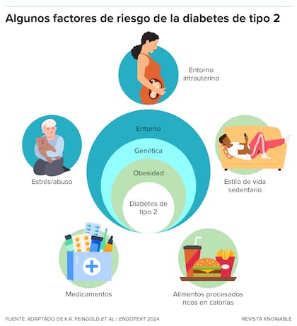 Los jóvenes experimentan muchos de los factores de riesgo que predisponen a padecer diabetes de tipo 2, como la exposición prenatal, la comida basura, el sedentarismo y los altos niveles de estrés