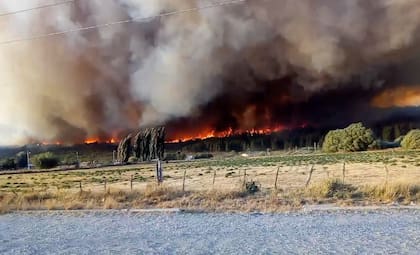 Los jóvenes quisieron desarrollar una app para detectar incendios ante los siniestros que arrrasan miles de hectáreas en el país, como lo ocurrido últimamente en Chubut