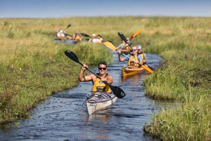 Los kayaks avanzan en fila india por un estrecho canal.
