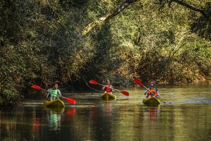 Los kayaks de hasta 500 dólares también son alcanzadas por la medida