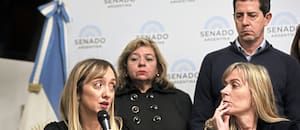 El nombre de Fernández Sagasti divide aguas en el peronismo, que redefine su mapa de poder en el Senado