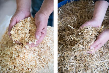 Los kits de cultivo de gírgolas suelen incluir el sustrato, que se composta una vez que termina el ciclo de los hongos