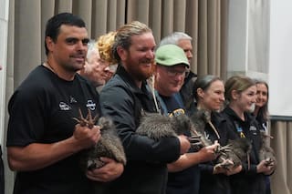 Los kiwis voladores representan el fútbol de Nueva Zelanda en el Mundial