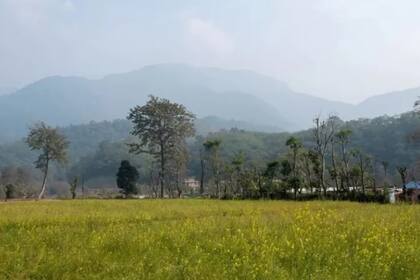 Los kusunda eran nómadas, pero hoy la mayoría vive en el distrito de Dang, en el oeste de Nepal (Foto: BBC EILEEN MCDOUGALL)