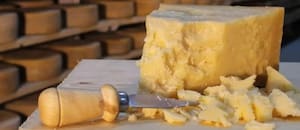 Las exportaciones de lácteos alcanzaron el mayor volumen del siglo