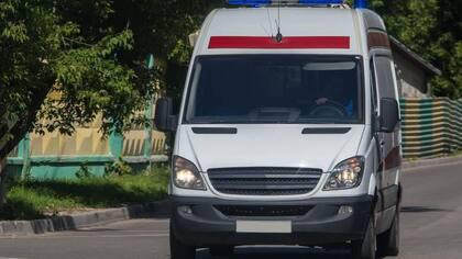 Los ladridos alertaron a los funcionarios, quienes llamaron a una ambulancia.
Foto: iStock