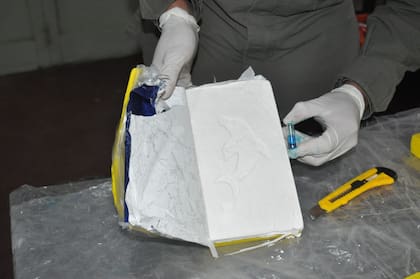 Los ladrillos de cocaína tenían el relieve con la forma de un delfín