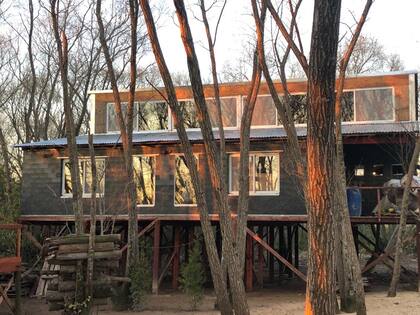 Los ladrillos de polipropileno aseguran una durabilidad de 100 años