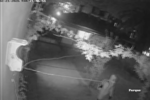 Los videos de la banda que esperaba que las víctimas salieran de sus casas, la marcaba y entraba a robar