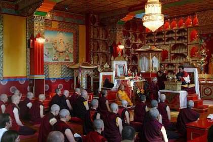 Los lamas son guías religiosos y espirituales del budismo tibetano.