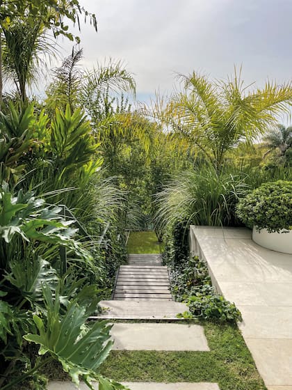 Los laterales de la casa suelen ser lugares de sombra o semisombra donde las especies tropicales suelen desarrollarse cómodamente