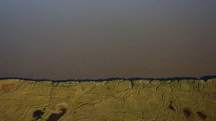 Los lechos óseos de Liscomb, que se encuentran en afloramientos a lo largo del río Colville, han producido más dinosaurios árticos que en cualquier otro lugar del mundo