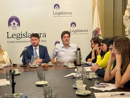 Los legisladores porteños Sergio Siciliano (Vamos por Más - Pro) y Matías Barroetaveña (Unión por la Patria) en una reunión conjunta de las comisiones de Educación y Legislación del Trabajo en el parlamento local.