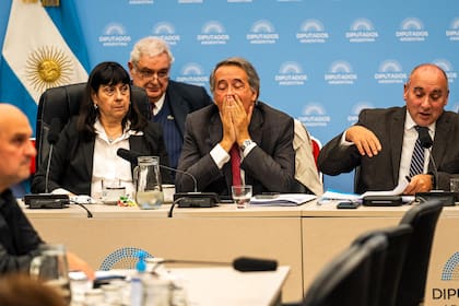 los libertarios Nicolás Mayoraz y José Peluc, durante la conducción del debate de la reforma de glaciares en Comisiones