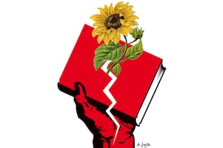 Los libros encubiertos de un rebelde silencioso