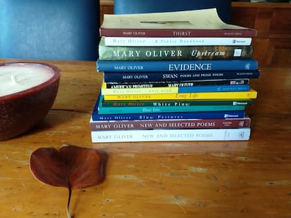 Los libros escritos por Mary Oliver