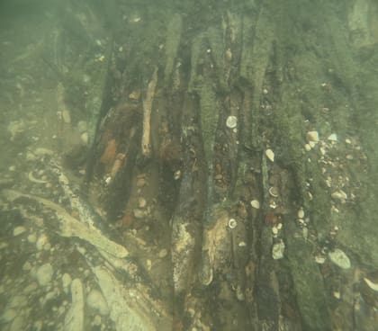 Los lingotes permanecieron bajo el agua por casi 2000 años. Ahora los expertos buscarán el origen de la mina donde se fabricaron (Fuente: Muzej Franjevačkog samostana Tolisa Vrata Bosne)