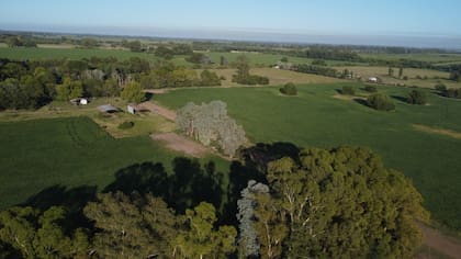 Los lotes del proyecto van desde 2300 a 3500 m2