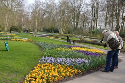 Los lunes, martes y miércoles son los días más tranquilos y con menos gente para visitar Keukenhof.