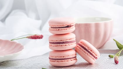 Los macarones franceses
