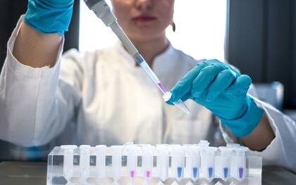 Los macrófagos tienen el potencial de ser erradicadores del cáncer altamente eficaces