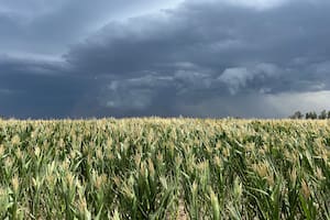 Se retira La Niña y prevén una lenta normalización de las lluvias