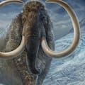 Descubren que unos fósiles catalogados como de mamut eran de una especie marina