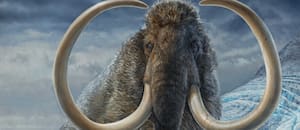 Descubren que unos fósiles catalogados como de mamut eran de una especie marina