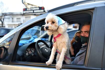 Los manifestantes se congregaron frente a la Quinta de Olivos durante el banderazo del 19S