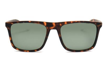 Los marcos de carey son súper atemporales.