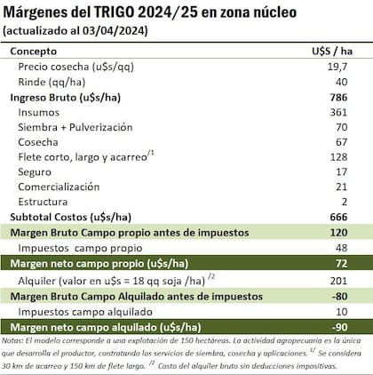 Los márgenes del trigo 2024/25 en la zona núcleo