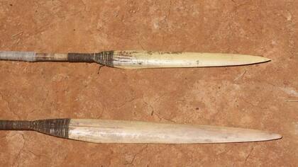 Los mashco piro cazan en la selva amazónica utilizando lanzas y flechas.