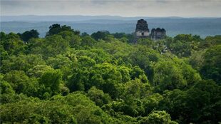 Los mayas dependían de las lluvias estacionales para su suministro de agua, que recolectaban en reservorios