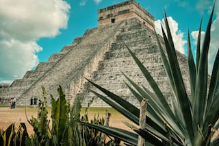 Por qué los mayas desaparecieron después de miles de años
