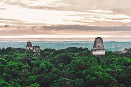 Los mayas son reconocidos por sus majestuosas construcciones. Después del abandono, Tikal fue cubierta por la extensión de la selva y se convirtió en una ciudad fantasma