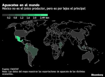 Los mayores productores de aguacates en el mundo (Crédito: Bloomberg)