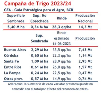 Los mayores rindes se prevén en Buenos Aires, con 33,5 quintales por hectárea