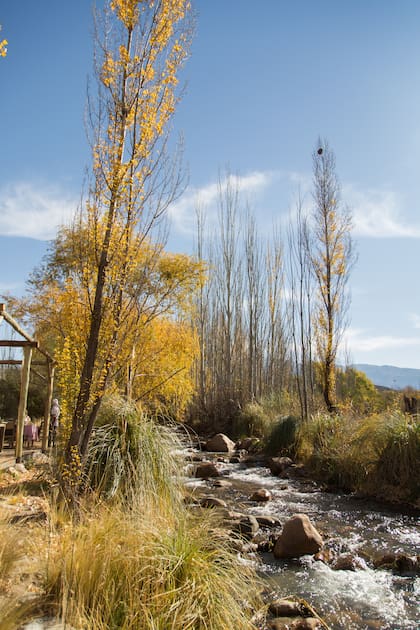 Los médicos asocian su muerte con un cuadro de edema pulmonar por la altitud