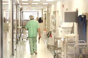 Los médicos de Bremen compartieron el caso para alertar sobre estados gripales en contacto con mascotas