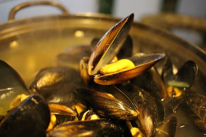 Los mejillones no solo tienen este mineral, sino que también son ricos en proteinas
