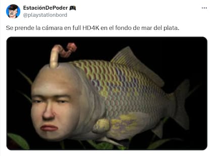 Los mejores comentarios del streaming del Conicet en las redes (Foto: X @playstationbord)