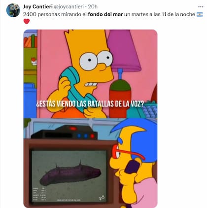 Los mejores comentarios del streaming del Conicet en las redes (Foto: X @joycantieri)