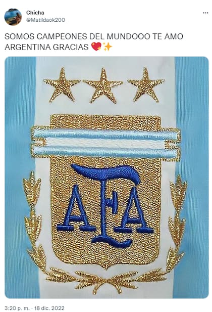 Los mejores memes de Argentina campeón del mundo