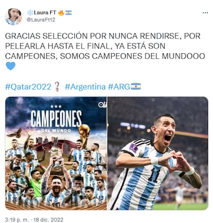 Los mejores memes de Argentina campeón del mundo